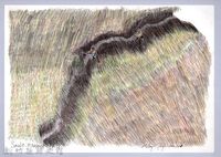 黑帶巴彥畫冊-6芒草林的開墾1：除芒草藏品圖，第1張