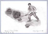 黑帶巴彥畫冊-8芒草林的開墾4：挖掘芒草根藏品圖，第1張