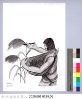 黑帶巴彥畫冊-22穀類收割1：採收小米藏品圖，第2張