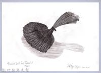 黑帶巴彥畫冊-24穀類收割2：綑綁完的小米藏品圖，第1張