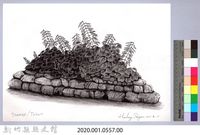 黑帶巴彥畫冊-64作物耕種：扁豆藏品圖，第2張