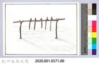 泰雅族的樂器與口傳-5問卜祭儀之問卜架-2藏品圖，第2張