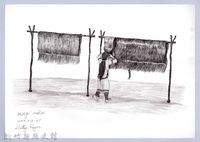 黑帶巴彥畫冊-61採收苧麻4：曬苧麻纖維藏品圖，第1張