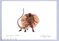 泰雅文物畫冊1-151傘蜥蜴藏品圖，第1張