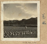 劉玉昭店子岡田野照藏品圖，第1張