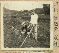 劉興熙關西農校實習課照片藏品圖，第1張