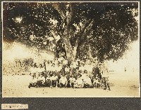 海南島地政養成所第一期講習生榕樹下團體照藏品圖，第1張