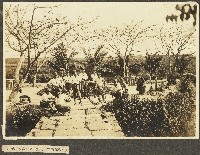 海南島養成所第三班講習生進行平板作業照片藏品圖，第1張