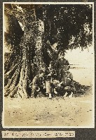 海南島養成所講習生三島等四人樹下玩鳥照片藏品圖，第1張