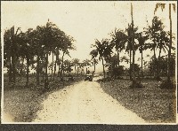 海南島風景照藏品圖，第1張