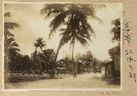 海南島萬寧砲隊東部照片藏品圖，第1張