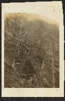 新高山照片藏品圖，第1張