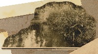 劉興熙日本遊學參訪奈良公園照片藏品圖，第1張