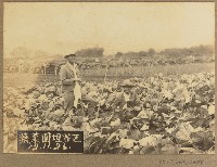 宜蘭農林實習課蔬菜負責者照片（昭和12年11月26日）藏品圖，第1張