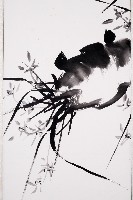蘭(一)藏品圖，第3張