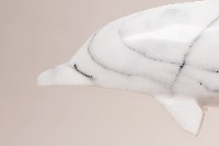 豚躍藏品圖，第2張