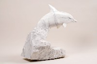 豚躍藏品圖，第9張