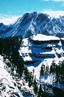 瑞雪映祥雲藏品圖，第4張