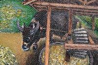 新竹芎林劉氏作紙一藏品圖，第3張