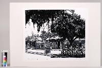 鄉音鄉情藏品圖，第1張