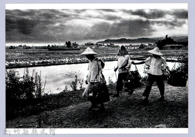 南埔田園（1967，北埔）的圖片