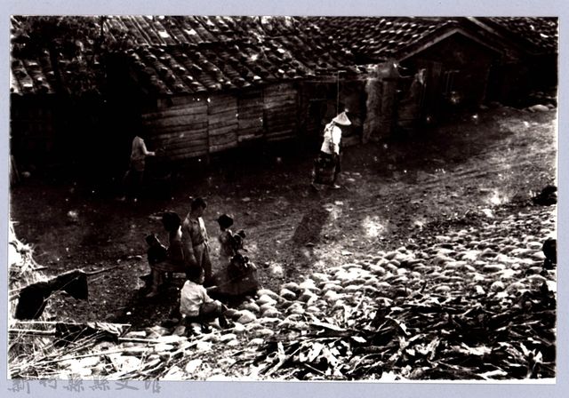 堤防人家（1966，芎林）的圖片