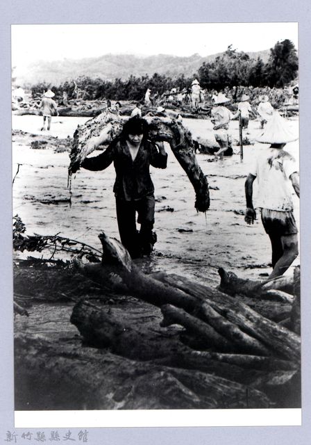 大水樵（1965-1970，竹東）的圖片