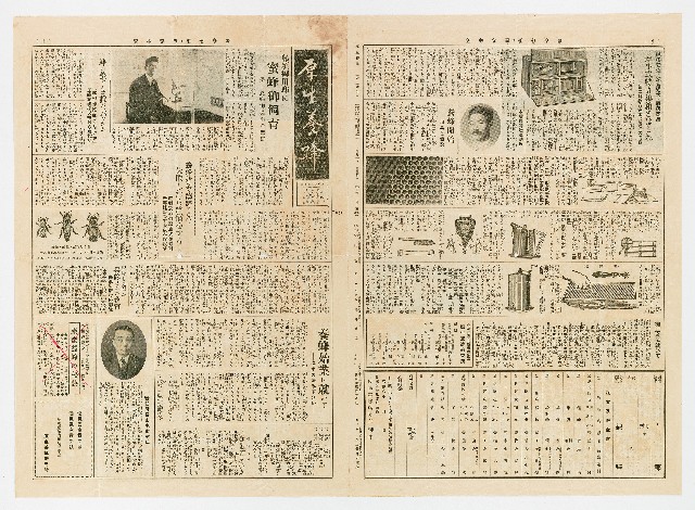 昭和08年02月01日厚生養蜂出張所發行《厚生養蜂報》二卷二號信件之《厚生養蜂報》的圖片