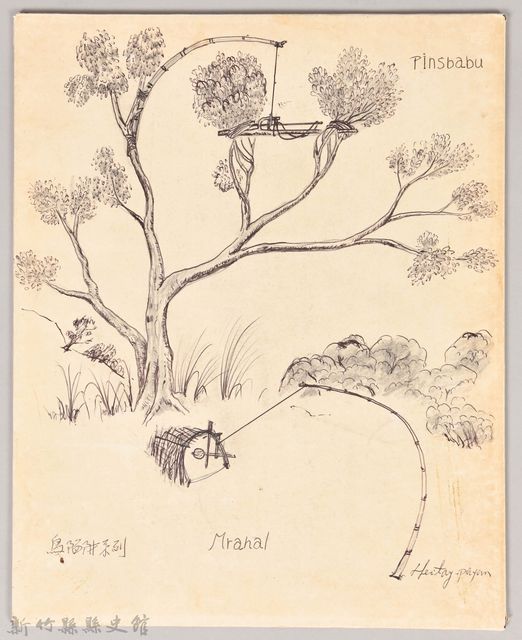 鳥陷阱系列的圖片