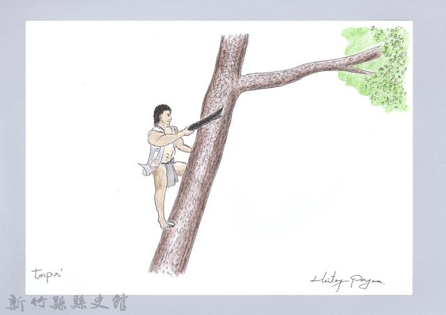 狩獵用具漁用-8上樹的圖片