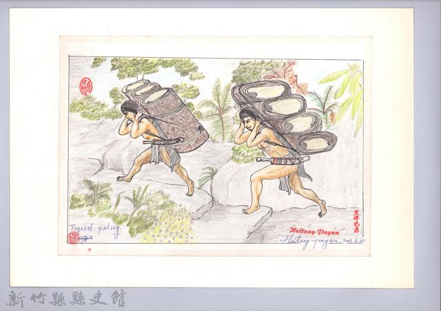 泰雅族的建築史：房屋篇-5樹皮取得與加工2：樹皮搬運的圖片