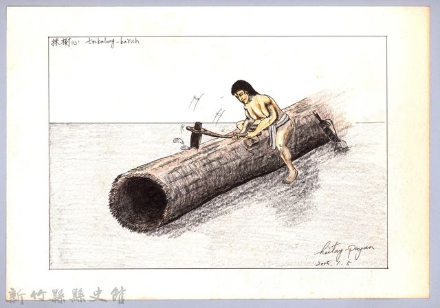 泰雅族的建築史：穀倉篇-6防鼠板製作1：採集風倒木-2的圖片