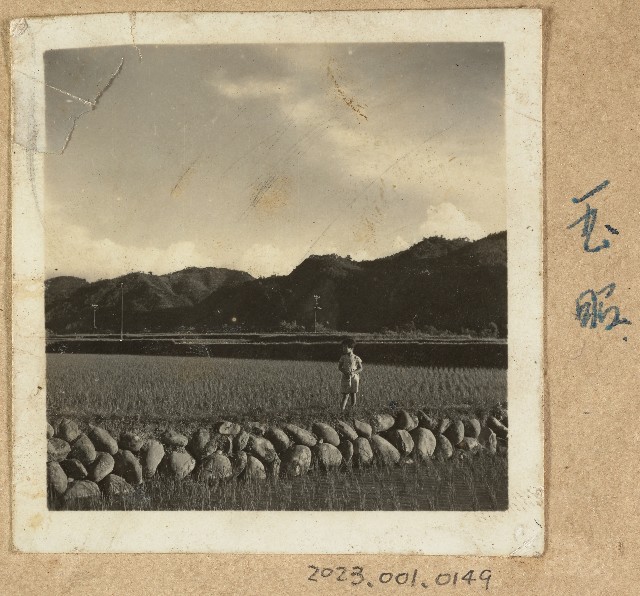劉玉昭店子岡田野照的圖片