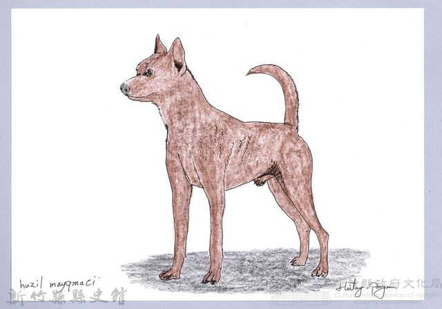 泰雅文物畫冊1-77棕犬藏品圖，第1張