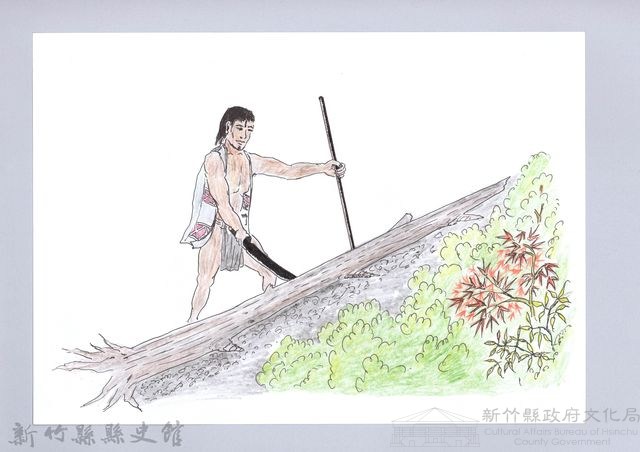 泰雅族的建築史：房屋篇-8立柱搭建1：尋找柱料藏品圖，第1張