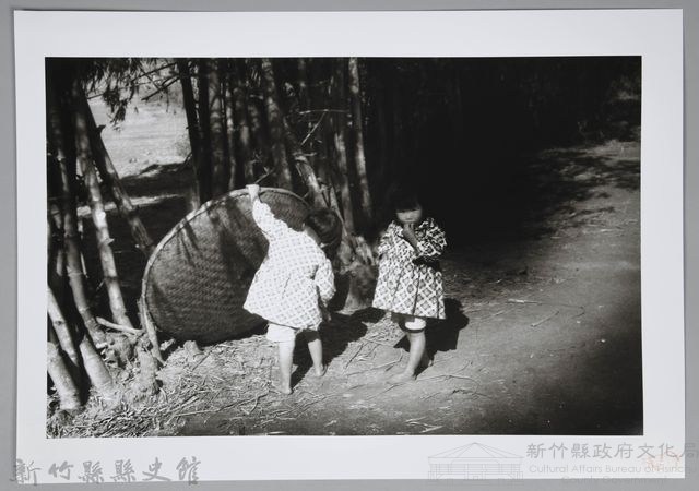 竹林下兩姊妹（新竹）藏品圖，第1張