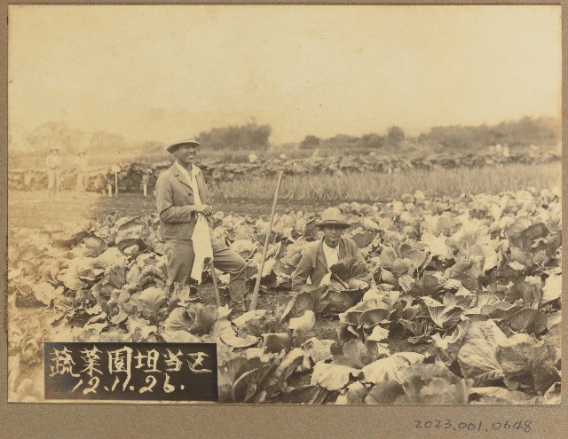 宜蘭農林實習課蔬菜負責者照片（昭和12年11月26日）藏品圖，第1張