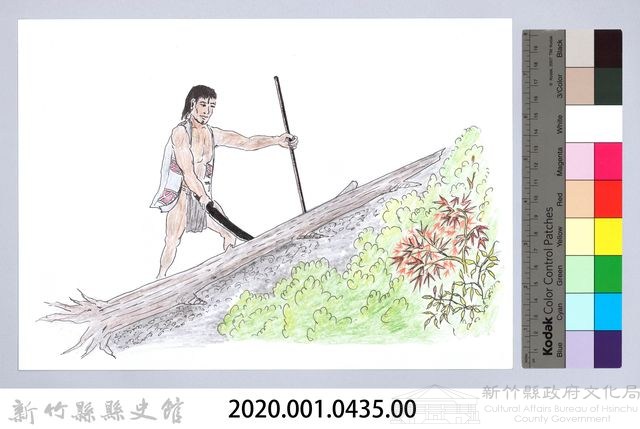 泰雅族的建築史：房屋篇-8立柱搭建1：尋找柱料藏品圖，第2張