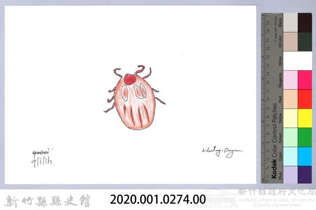 泰雅文物畫冊3-29壁蝨藏品圖，第2張