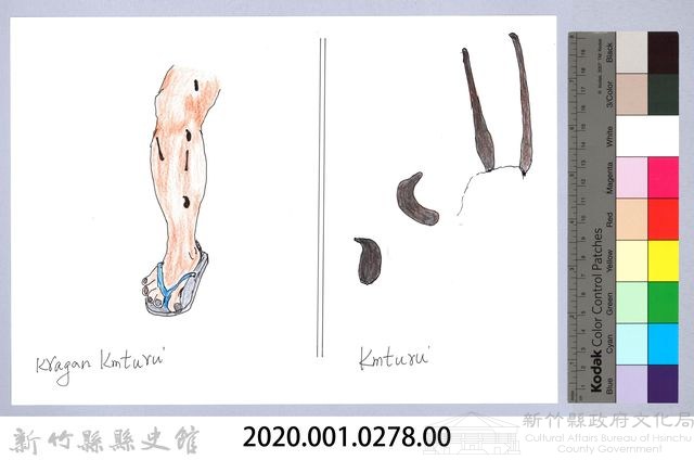 泰雅文物畫冊3-33水蛭吸血藏品圖，第2張