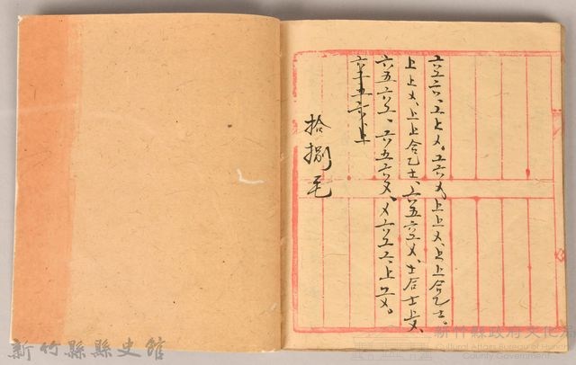 《姜阿蘊透尾全本記》藏品圖，第56張