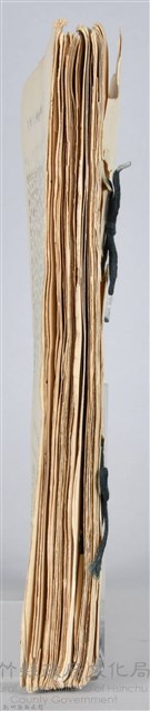 周伯陽公務員任用審查證明文件藏品圖，第10張