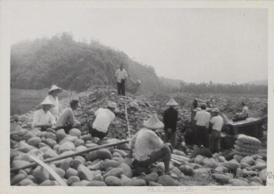 登錄號:2008.001.1110藏品圖，第1張
