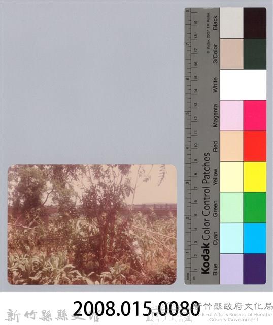 林保仁縣長主政照片：新竹縣新埔鎮六十七年度防汛演習-43藏品圖，第3張