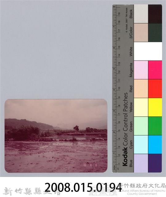 林保仁縣長主政照片：新竹縣七十一年度高莖作物砍成果-18藏品圖，第3張