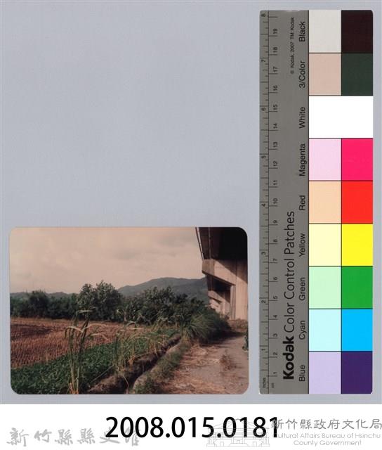 林保仁縣長主政照片：新竹縣七十一年度高莖作物砍成果-5藏品圖，第3張