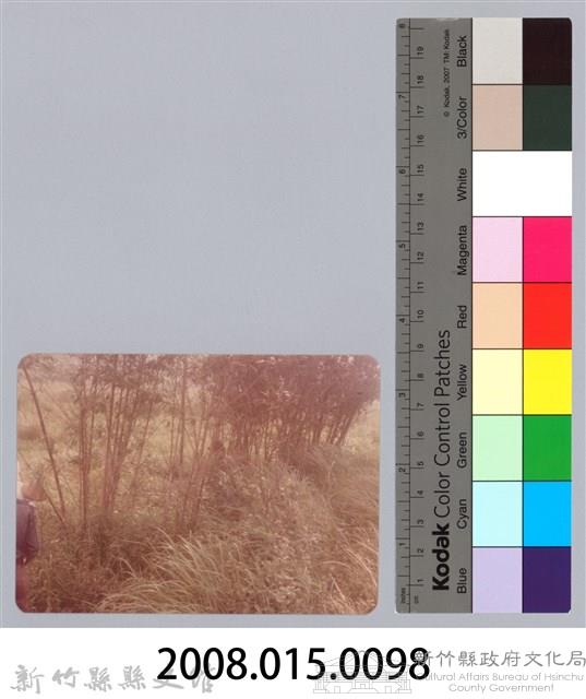 林保仁縣長主政照片：新竹縣新埔鎮六十七年度防汛演習-61藏品圖，第3張