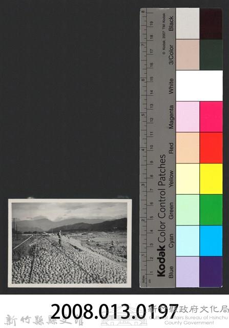 鳳山溪水尾堤防復原工程(堤防復原350M)-施工中藏品圖，第3張