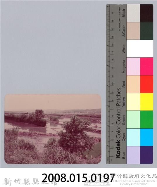 林保仁縣長主政照片：新竹縣七十一年度高莖作物砍成果-21藏品圖，第3張