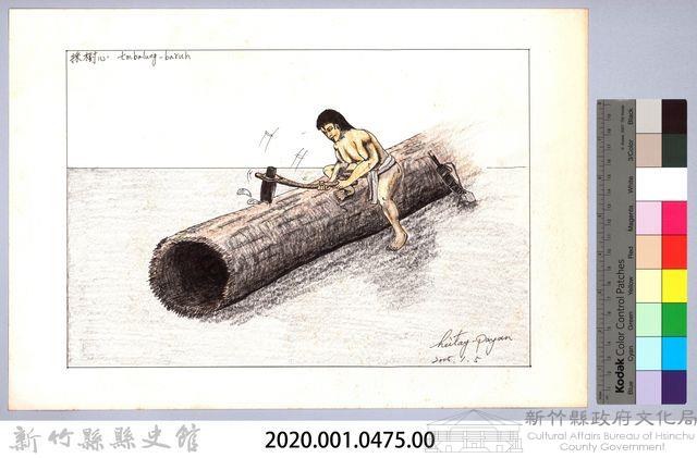 泰雅族的建築史：穀倉篇-6防鼠板製作1：採集風倒木-2藏品圖，第3張